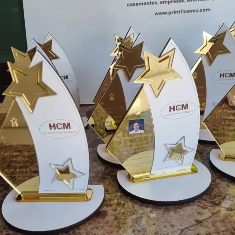 Troféu Corporativo em Acrílico Espelhado e MDF  4