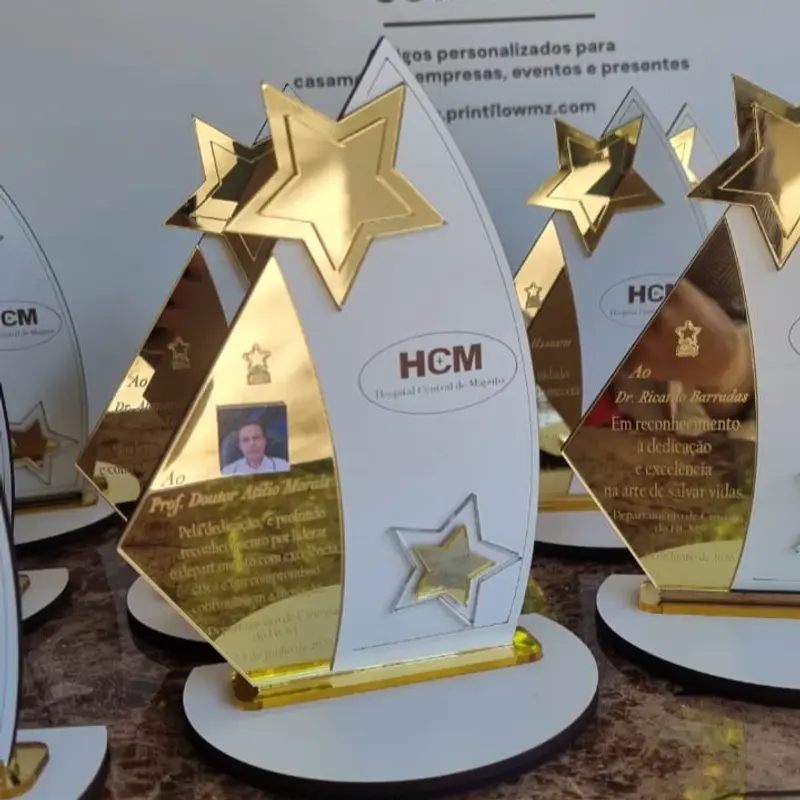 Troféu Corporativo em Acrílico Espelhado e MDF  3