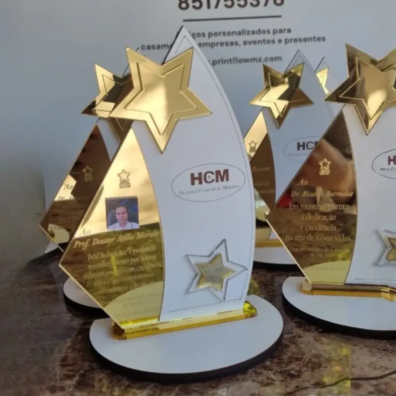 Troféu Corporativo em Acrílico Espelhado e MDF  2