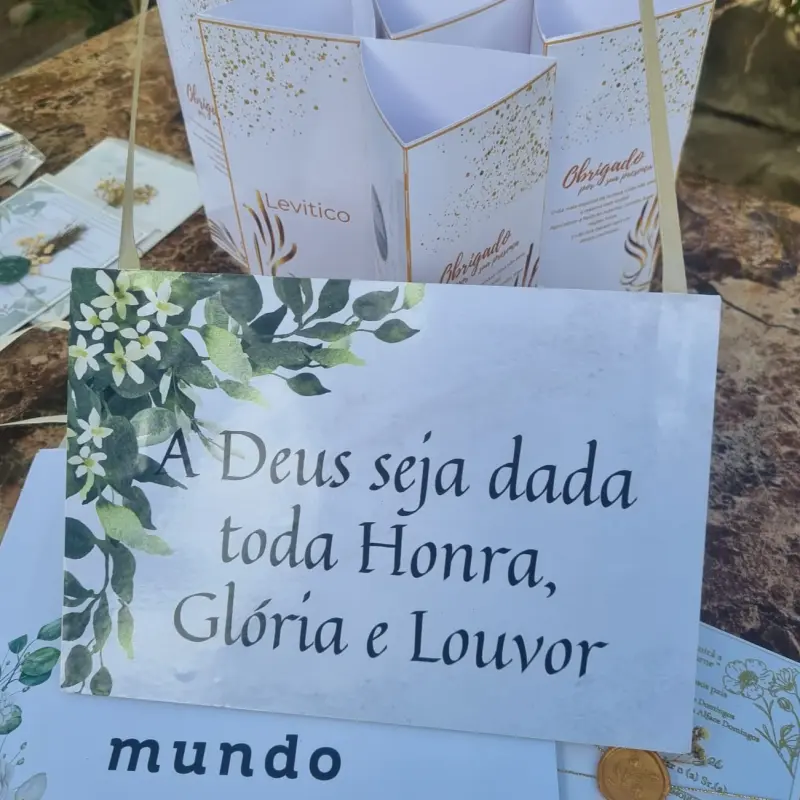 Placas rígidas de daminhos 2