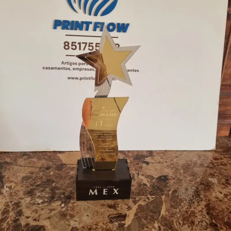 Troféu Corporativo em Acrílico Espelhado com Base em MDF 1