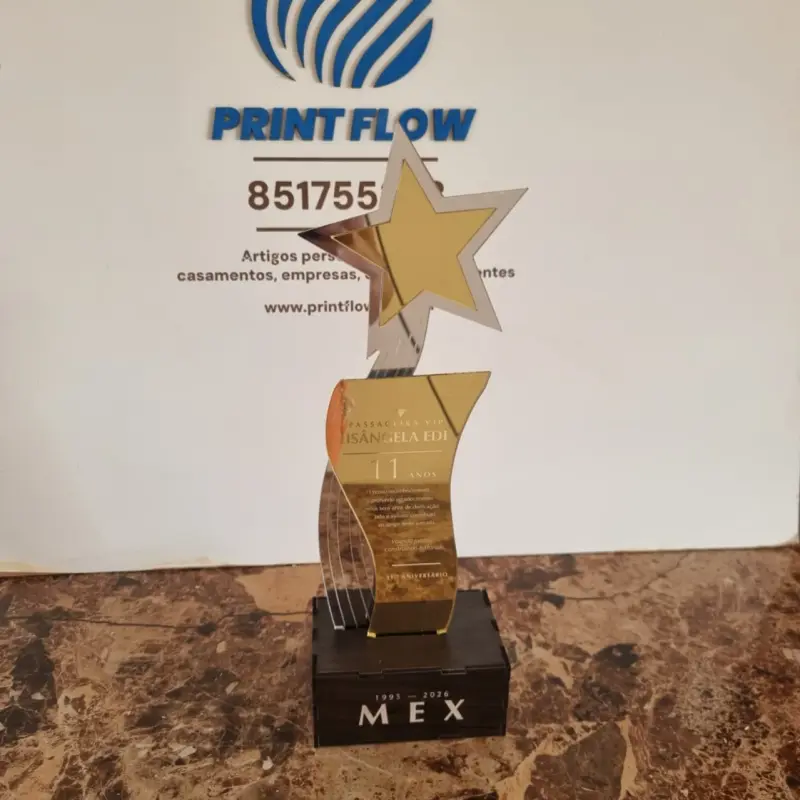 Troféu Corporativo em Acrílico Espelhado com Base em MDF 2