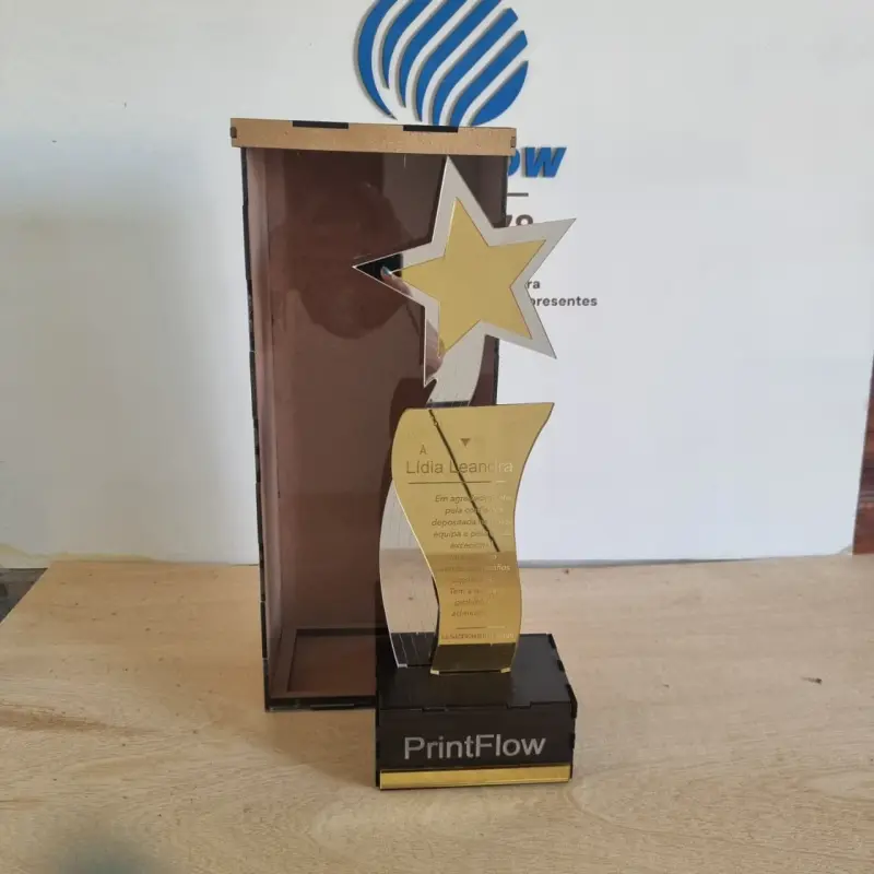 Troféu com Caixa Expositora em Acrílico e MDF  1