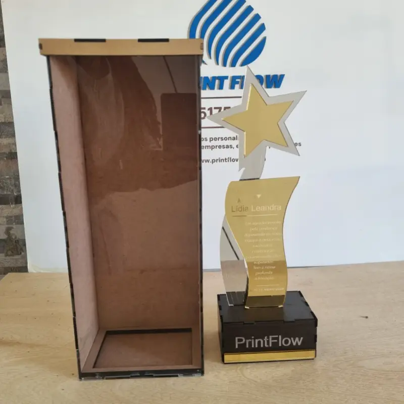Troféu com Caixa Expositora em Acrílico e MDF  2